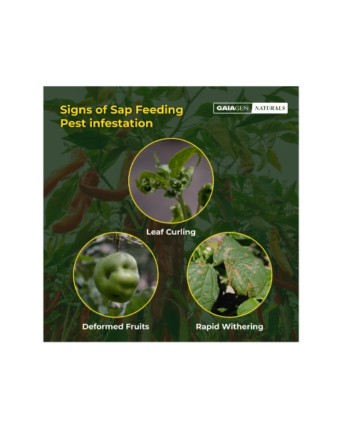 GAIAGEN NATURALS FOR SAP FEEDING PESTS