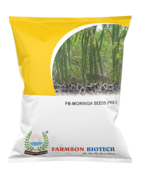 FB-PKM 2 F1 HYBRID Drum Stick (Moringa) SEEDS