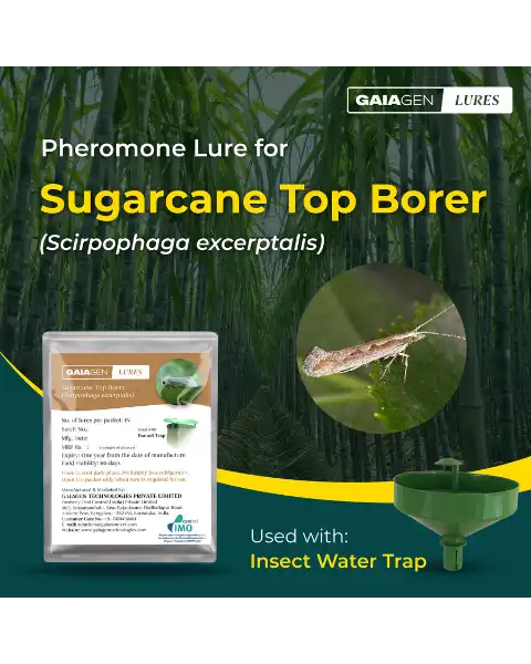 GAIAGEN PHEROMONE LURES FOR SUGARCANE TOP BORER