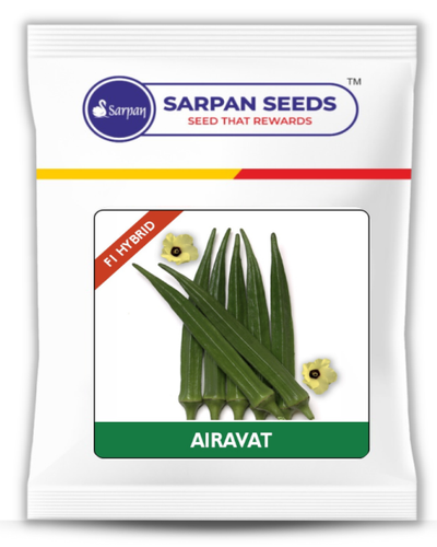 SARPAN AIRAVAT BHENDI SEEDS