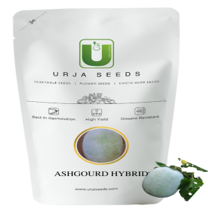 URJA US-102 - ASH GOURD F-1 HYBRID