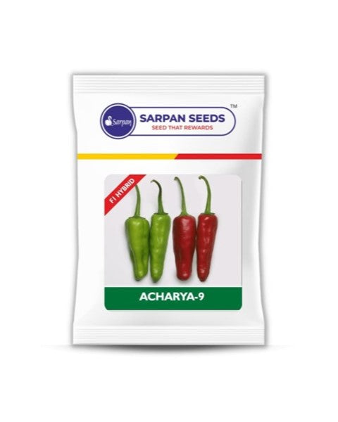 SARPAN ACHARYA-9 (ACHAR MIRCHI/CHILLI)