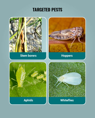 Actara Insecticide