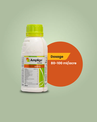 Ampligo Insecticide