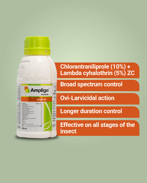 Ampligo Insecticide