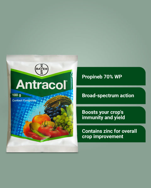 Antracol Fungicide