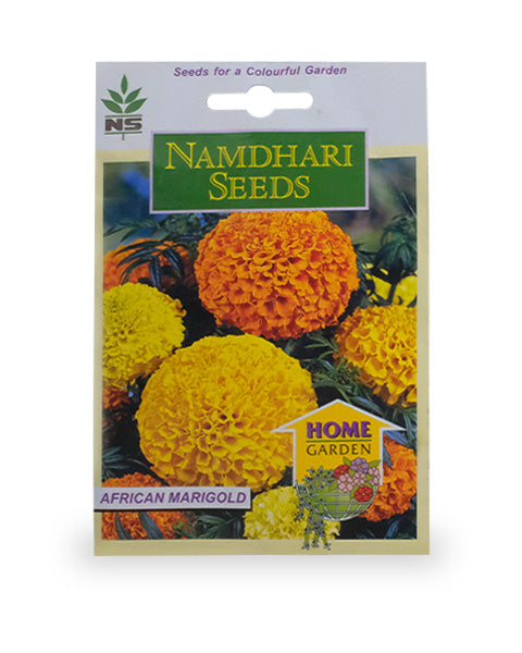 NS Majestic Yellow African Marigold Seeds