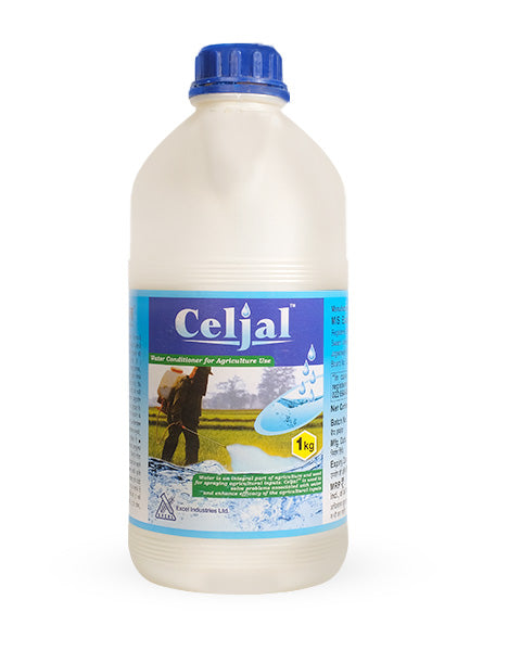 EXCEL CELJAL