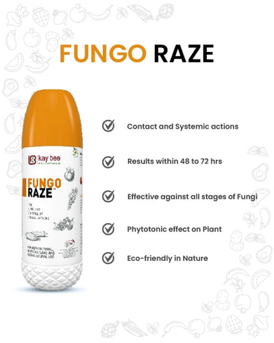 FUNGO RAZE