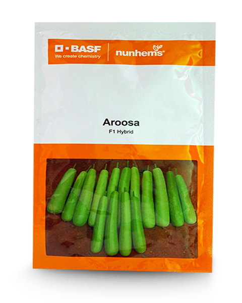 Aroosa f1 bottle guard seeds