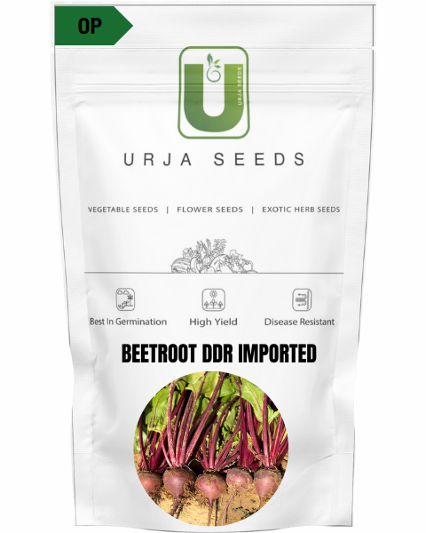 URJA BEETROOT DDR (IMPORTED)