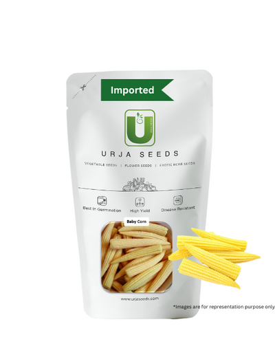 URJA - BABY CORN-ORION SEEDS