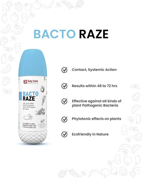 KAY BEE BACTO RAZE BIO BACTERICIDE