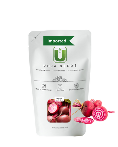 URJA BEET ROOT CANDY CANE