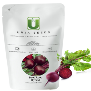 URJA MAHARAJA RED - BEETROOT SEEDS