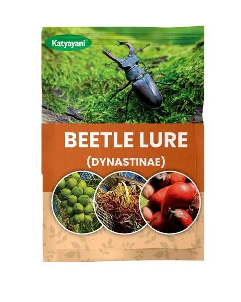 katyayani Beetle Lure