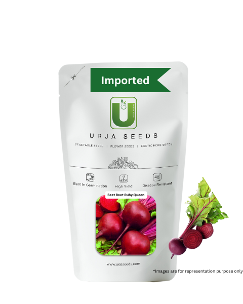 URJA BEETROOT RUBY QUEEN SEEDS