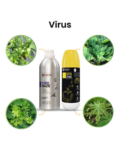 Viro Raze & Nova Zyme Virus Control & Plant Growth Regulator Combo