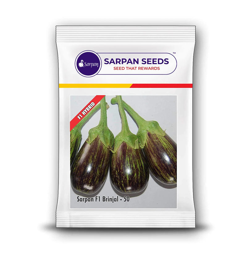 SARPAN F1 BRINJAL-50