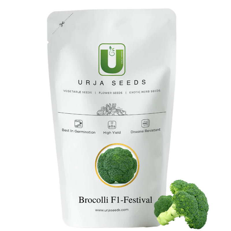 URJA F1 FESTIVAL BROCOLLI SEEDS