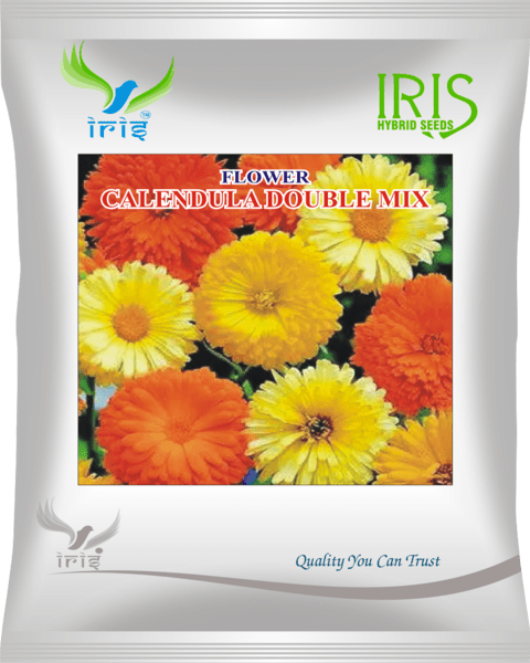 Iris Hybrid Imported OP Calendula Mix