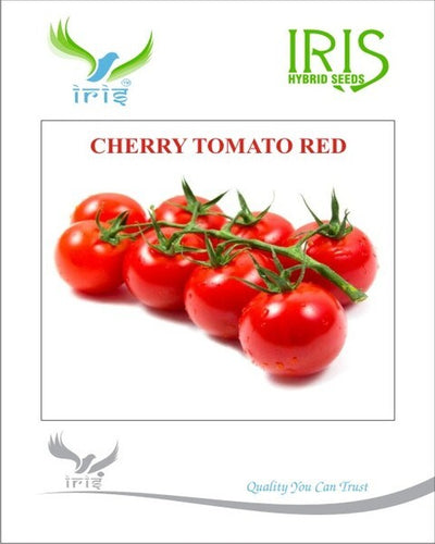 IRIS IMPORTED CHERRY TOMATO RED