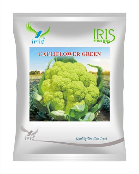 Iris Imported OP Cauliflower Green