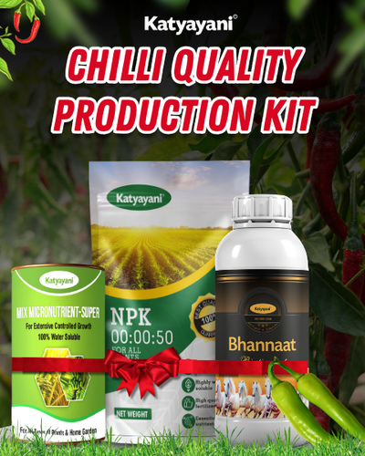 KATYAYANI CHILLI QUALITY PRODUCTION KIT