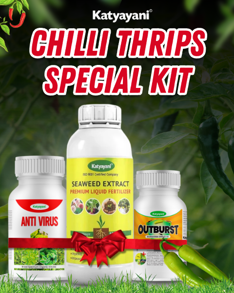 KATYAYANI CHILLI THRIPS SPECIAL KIT