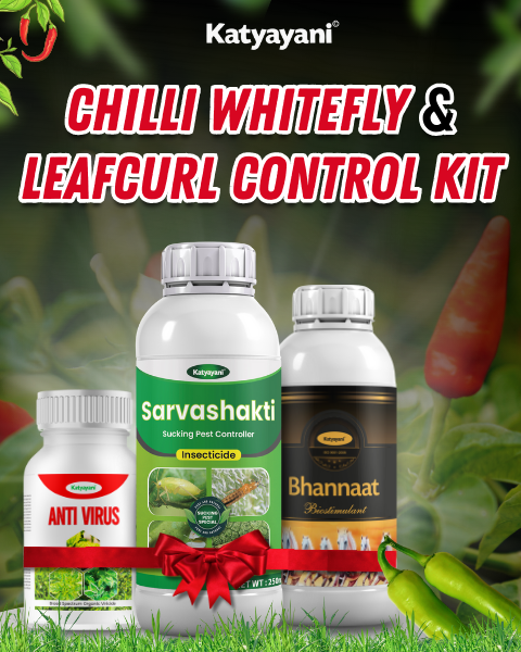 KATYAYANI CHILLI WHITEFLY & LEAF CURL CONTROL KIT