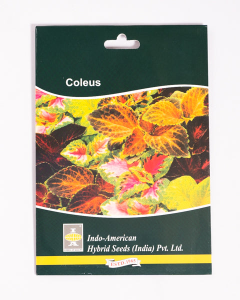 IAHS COLEUS WIZARD MIX