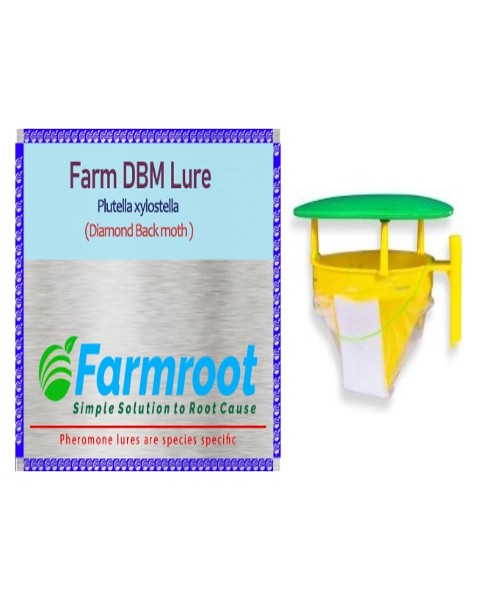 FARMROOT FARM DBOM (DIOMAND BLACK MOTH )LURE WITH FUNNEL TRAP