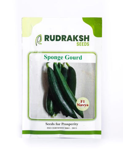 RUDRAKSH F1 NAVYA SPONGE GOURD SEEDS