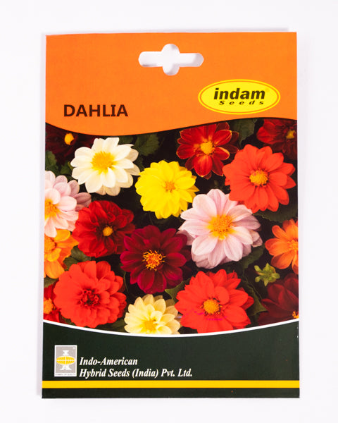 IAHS DAHLIA FIGARO MIX