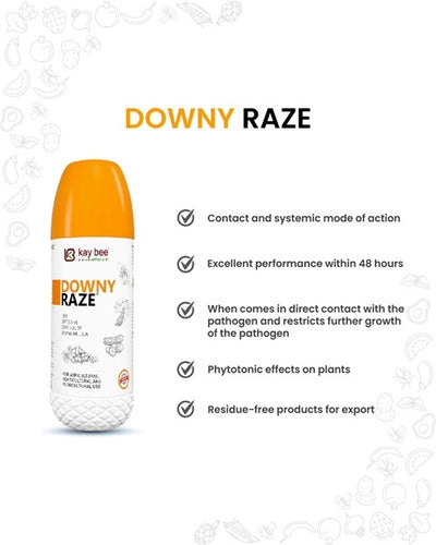 DOWNY RAZE