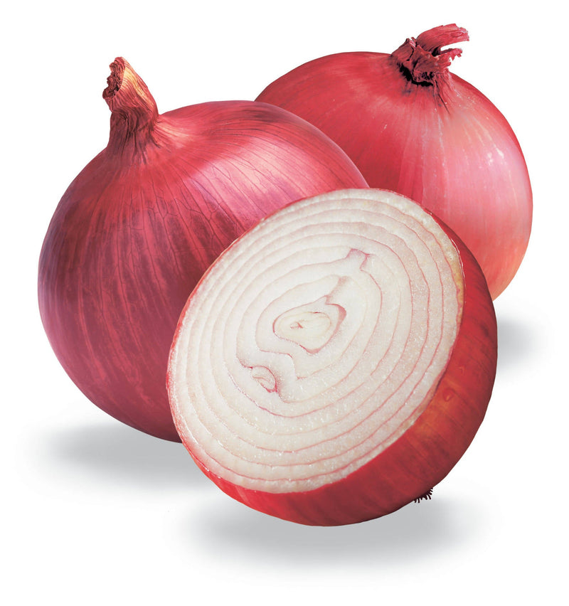 URJA RED CREOLE ONION SEEDS