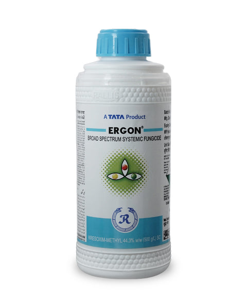 Ergon Fungicide