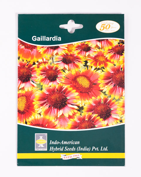 IAHS GAILLARDIA MESA YELLOW