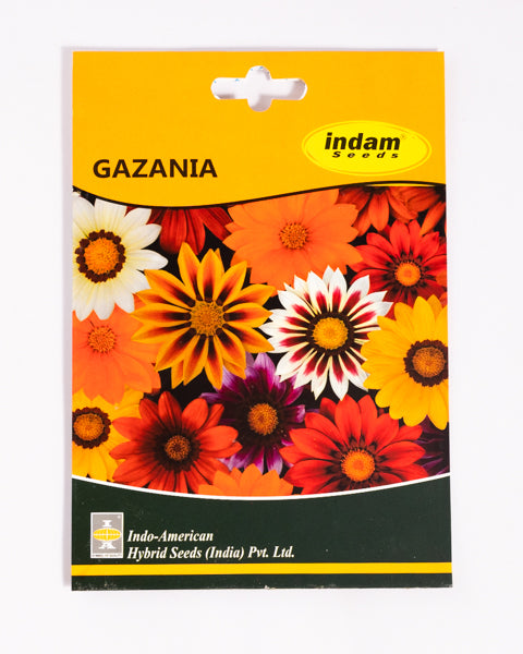 IAHS GAZANIA NEW DAY MIX