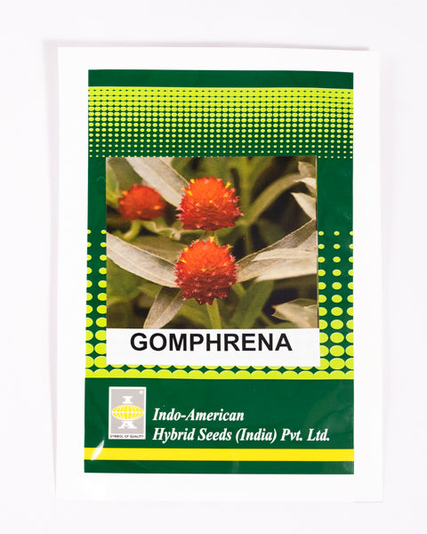 IAHS GOMPHRENA FIREWORKS