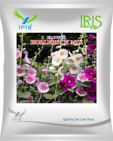 IRIS HYBRID IMPORTED OP HOLLYHOCK MIX