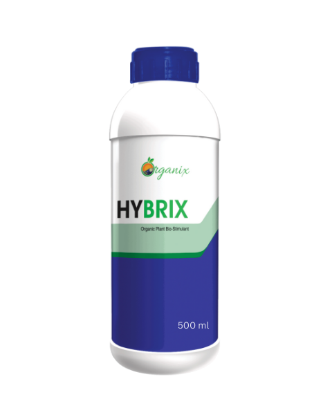 SRI BIO HYBRIX