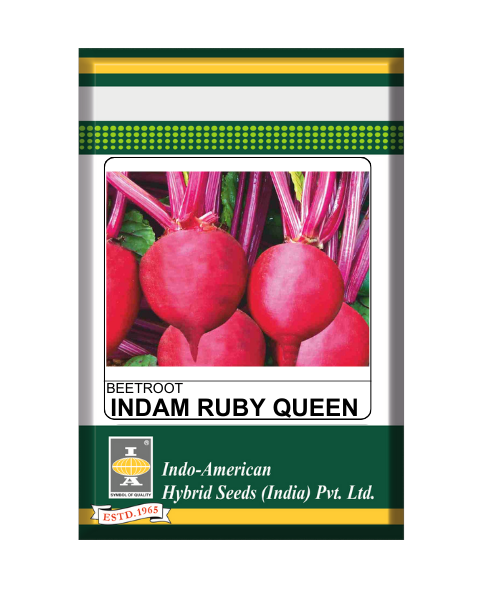 IAHS Beetroot Indam Ruby Queen Seeds