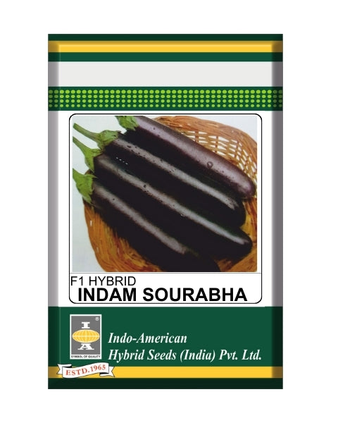 IAHS Brinjal Indam Sourabha Seeds