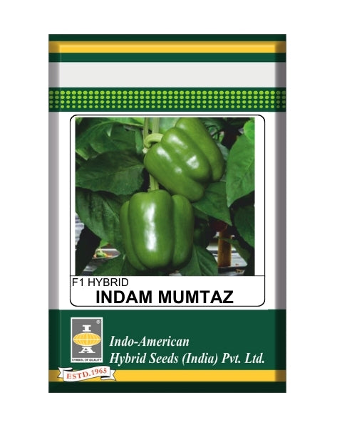 IAHS Capsicum Indam Mumtaz Seeds
