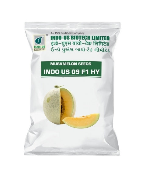 INDO US MUSK MELON 09 F1 HY