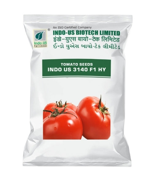 INDO US TOMATO 3140 F1 HY