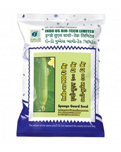 INDO US SPONGE GOURD 900 F1 HY