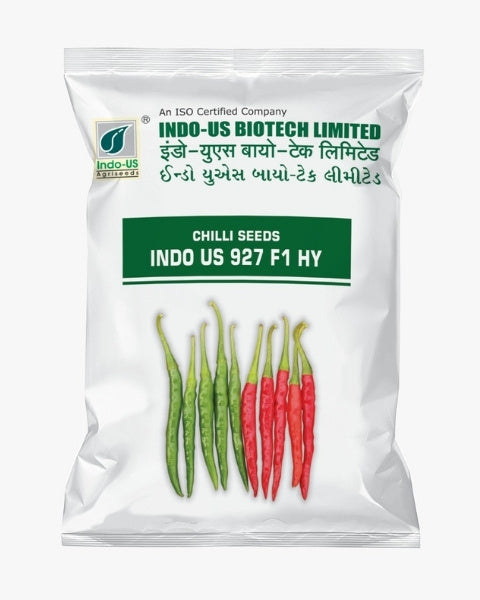 INDO US CHILLI 927 F1 HY