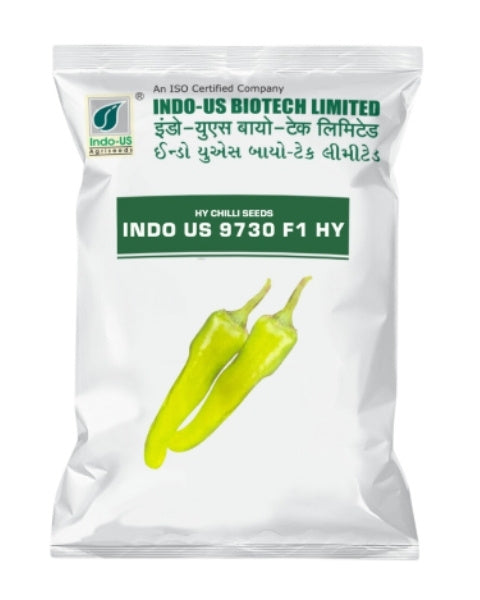 INDO US CHILLI 9730 F1 HY